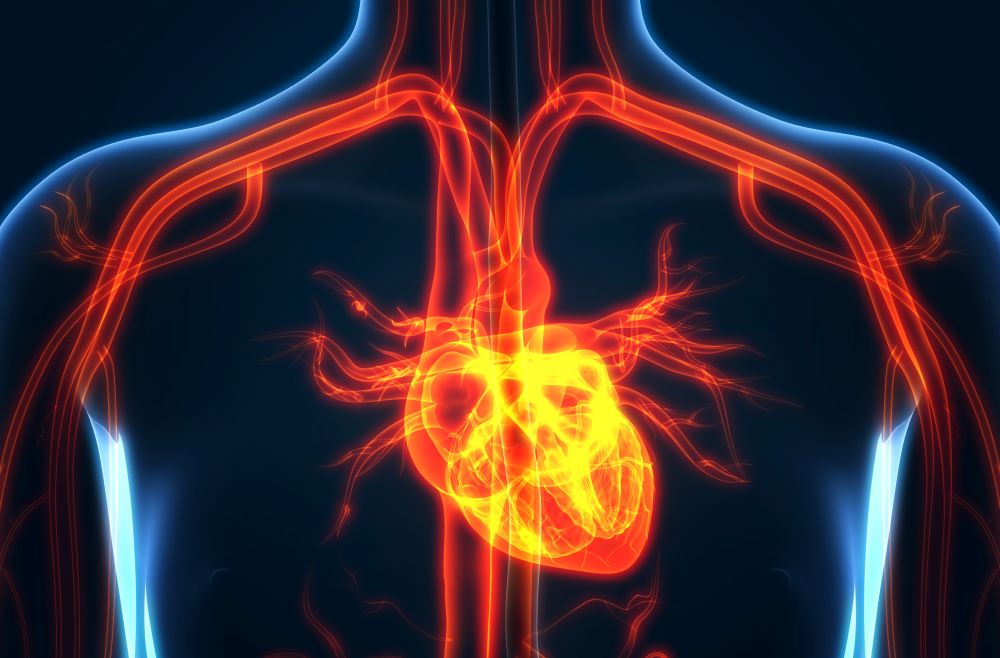 Leaky Heart Valve Penn Medicine